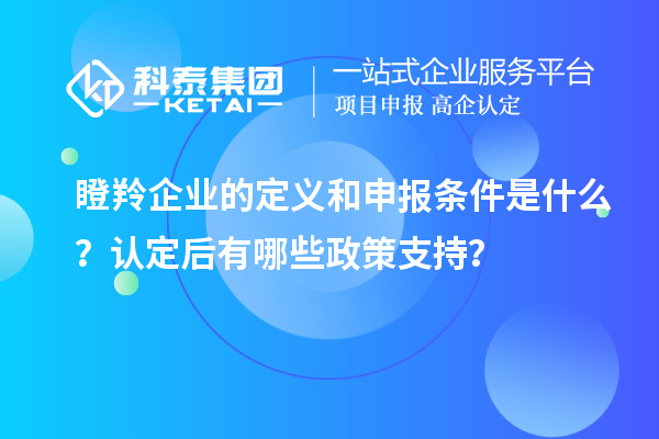 瞪羚企業(yè)的定義和申報條件是什么？認定后有哪些政策支持？