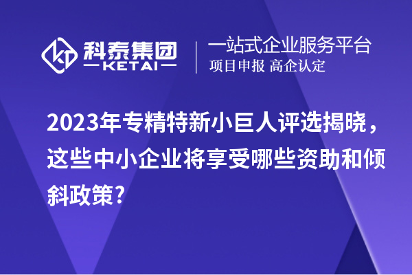 2023年專精特新小巨人評選揭曉，這些中小企業(yè)將享受哪些資助和傾斜政策?