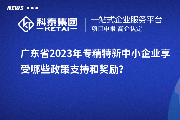 廣東省2023年專精特新中小企業(yè)享受哪些政策支持和獎勵？