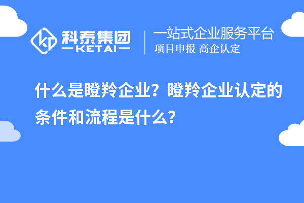 什么是瞪羚企業(yè)？瞪羚企業(yè)認(rèn)定的條件和流程是什么？
