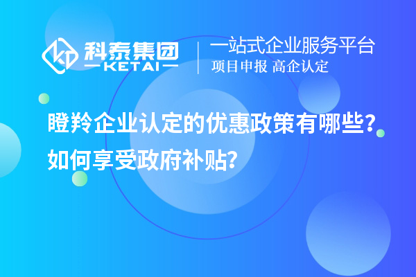 瞪羚企業(yè)認(rèn)定的優(yōu)惠政策有哪些？如何享受政府補(bǔ)貼？