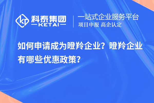 如何申請(qǐng)成為瞪羚企業(yè)？瞪羚企業(yè)有哪些優(yōu)惠政策？