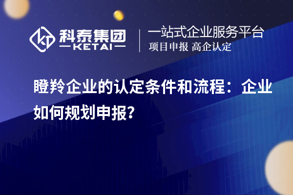 瞪羚企業(yè)的認定條件和流程：企業(yè)如何規(guī)劃申報？
