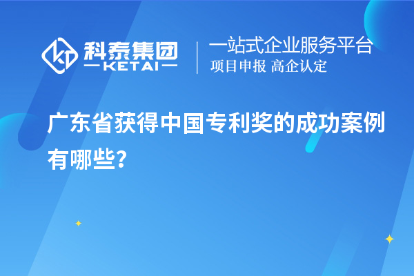 廣東省獲得中國專利獎的成功案例有哪些？