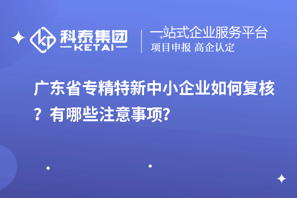 廣東省專精特新中小企業(yè)如何復(fù)核？有哪些注意事項(xiàng)？