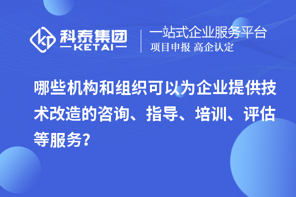哪些機構(gòu)和組織可以為企業(yè)提供技術(shù)改造的咨詢、指導、培訓、評估等服務(wù)？