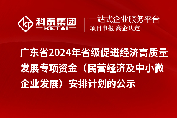 廣東省2024年省級促進經(jīng)濟高質(zhì)量發(fā)展專項資金（民營經(jīng)濟及中小微企業(yè)發(fā)展）安排計劃的公示