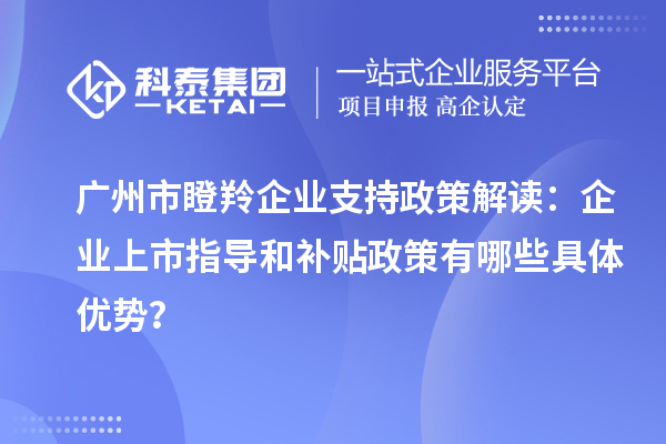 廣州市瞪羚企業(yè)支持政策解讀：企業(yè)上市指導(dǎo)和補貼政策有哪些具體優(yōu)勢？