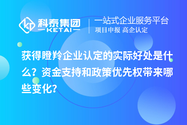 獲得瞪羚企業(yè)認(rèn)定的實(shí)際好處是什么？資金支持和政策優(yōu)先權(quán)帶來(lái)哪些變化？