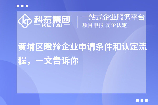 黃埔區(qū)瞪羚企業(yè)申請條件和認定流程，一文告訴你