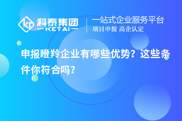申報瞪羚企業(yè)有哪些優(yōu)勢？這些條件你符合嗎？