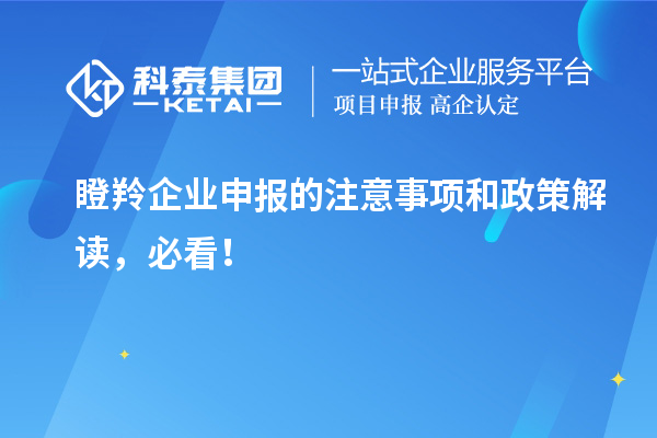 瞪羚企業(yè)申報(bào)的注意事項(xiàng)和政策解讀，必看！