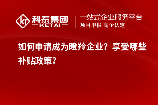 如何申請(qǐng)成為瞪羚企業(yè)？享受哪些補(bǔ)貼政策？