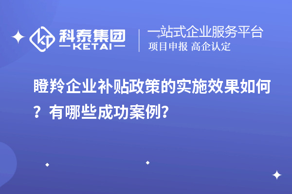 瞪羚企業(yè)補(bǔ)貼政策的實(shí)施效果如何？有哪些成功案例？