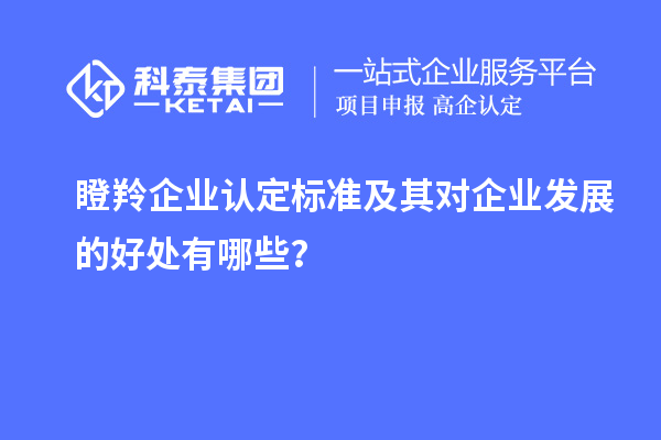瞪羚企業(yè)認(rèn)定標(biāo)準(zhǔn)及其對(duì)企業(yè)發(fā)展的好處有哪些？