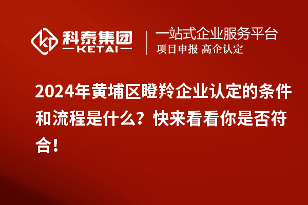 2024年黃埔區(qū)瞪羚企業(yè)認(rèn)定的條件和流程是什么？快來(lái)看看你是否符合！