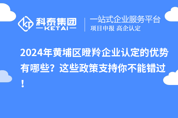 2024年黃埔區(qū)瞪羚企業(yè)認(rèn)定的優(yōu)勢有哪些？這些政策支持你不能錯過！
