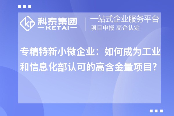 專精特新小微企業(yè):如何成為工業(yè)和信息化部認可的高含金量項目?
