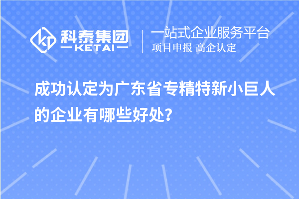 成功認(rèn)定為廣東省專精特新小巨人的企業(yè)有哪些好處？