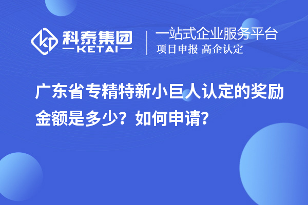 廣東省專精特新小巨人認(rèn)定的獎(jiǎng)勵(lì)金額是多少？如何申請(qǐng)？