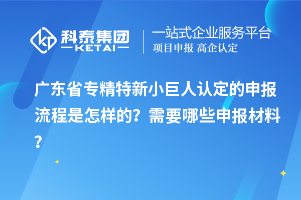 廣東省專精特新小巨人認定的申報流程是怎樣的？需要哪些申報材料？