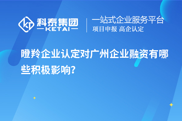 瞪羚企業(yè)認(rèn)定對(duì)廣州企業(yè)融資有哪些積極影響？