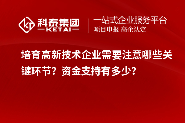 培育高新技術企業(yè)需要注意哪些關鍵環(huán)節(jié)？資金支持有多少？
