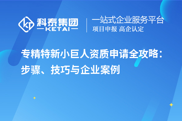 專精特新小巨人資質(zhì)申請全攻略：步驟、技巧與企業(yè)案例