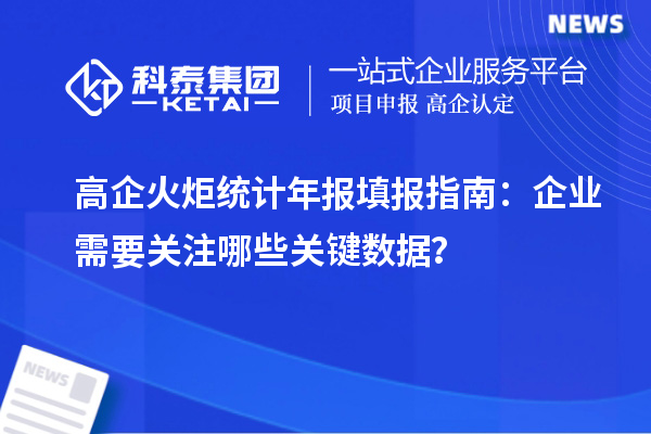 高企火炬統(tǒng)計年報填報指南：企業(yè)需要關注哪些關鍵數(shù)據(jù)？