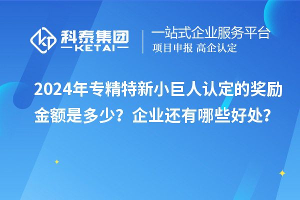 2024年專精特新小巨人認(rèn)定的獎勵金額是多少？企業(yè)還有哪些好處？