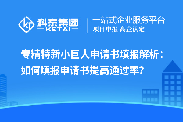 專精特新小巨人申請書填報解析：如何填報申請書提高通過率？