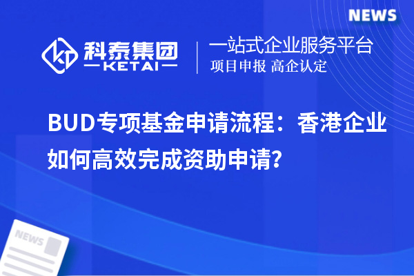 BUD專項基金申請流程：香港企業(yè)如何高效完成資助申請？