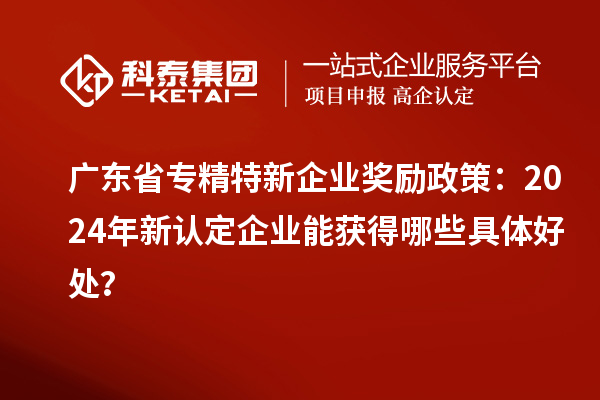 廣東省專精特新企業(yè)獎(jiǎng)勵(lì)政策：2024年新認(rèn)定企業(yè)能獲得哪些具體好處？