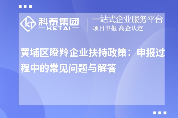 黃埔區(qū)瞪羚企業(yè)扶持政策：申報(bào)過(guò)程中的常見問(wèn)題與解答