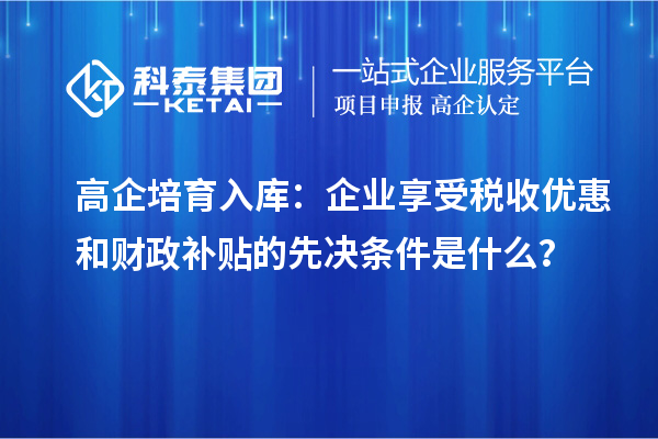 高企培育入庫：企業(yè)享受稅收優(yōu)惠和財政補貼的先決條件是什么？
