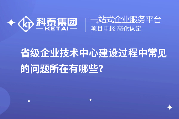 省級企業(yè)技術(shù)中心建設(shè)過程中常見的問題所在有哪些？