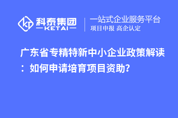 廣東省專精特新中小企業(yè)政策解讀：如何申請(qǐng)培育項(xiàng)目資助？