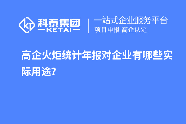高企火炬統(tǒng)計(jì)年報(bào)對(duì)企業(yè)有哪些實(shí)際用途？