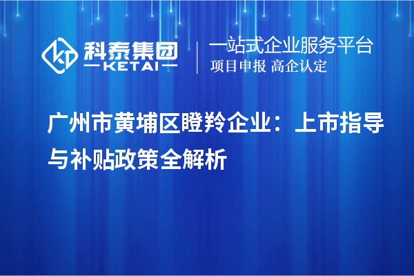 廣州市黃埔區(qū)瞪羚企業(yè):上市指導與補貼政策全解析