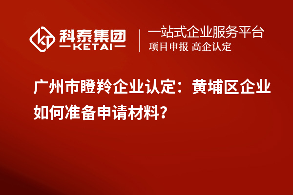 廣州市瞪羚企業(yè)認定：黃埔區(qū)企業(yè)如何準備申請材料？