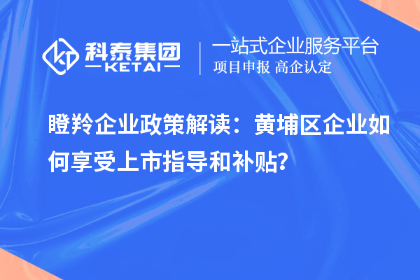 瞪羚企業(yè)政策解讀：黃埔區(qū)企業(yè)如何享受上市指導和補貼？