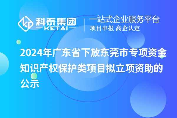 2024年廣東省下放東莞市專項資金知識產(chǎn)權(quán)保護(hù)類項目擬立項資助的公示