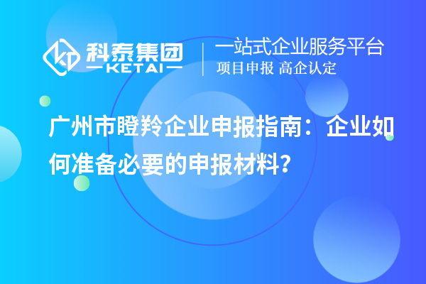 廣州市瞪羚企業(yè)申報指南：企業(yè)如何準備必要的申報材料？