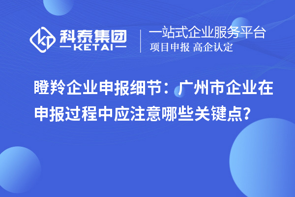 瞪羚企業(yè)申報細節(jié)：廣州市企業(yè)在申報過程中應注意哪些關鍵點？