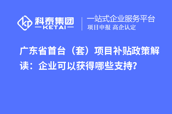 廣東省首臺（套）項目補貼政策解讀：企業(yè)可以獲得哪些支持？