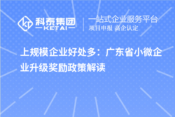 上規(guī)模企業(yè)好處多：廣東省小微企業(yè)升級獎(jiǎng)勵(lì)政策解讀