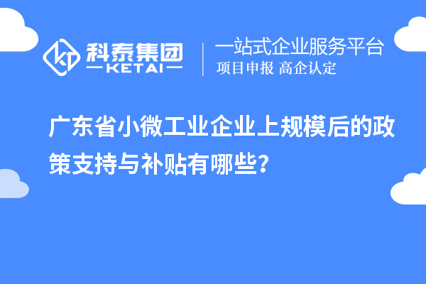 廣東省小微工業(yè)企業(yè)上規(guī)模后的政策支持與補(bǔ)貼有哪些？