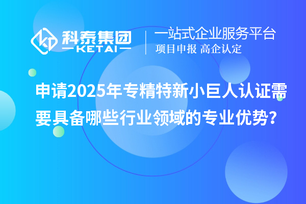 申請(qǐng)2025年專精特新小巨人認(rèn)證需要具備哪些行業(yè)領(lǐng)域的專業(yè)優(yōu)勢(shì)？