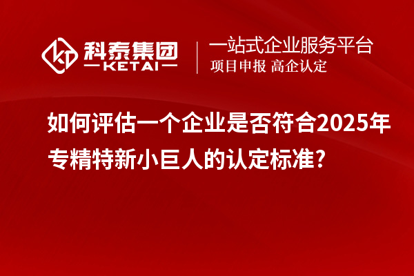 如何評估一個企業(yè)是否符合2025年專精特新小巨人的認定標準?