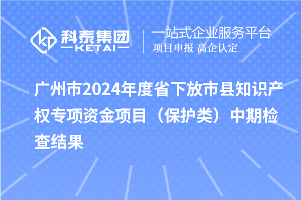 廣州市2024年度省下放市縣知識產(chǎn)權專項資金項目(保護類)中期檢查結果